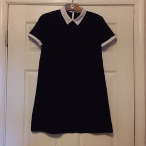 Zara collar dress